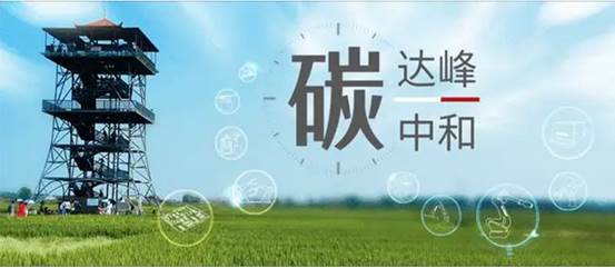 1664012756152219.jpg clip_image012.jpg